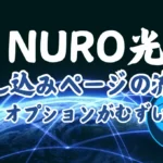 【NURO光】申し込みページの流れ！オプションは下調べ必須